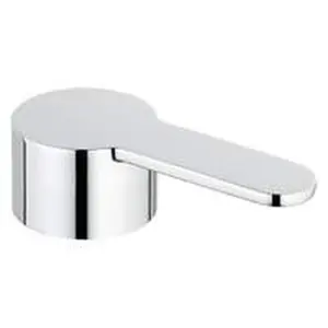Grohe greep voor Wastafelmengkraan met waste en hoge 46750000