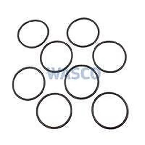 Remeha O-Ring Ø82 mm 8 Stück