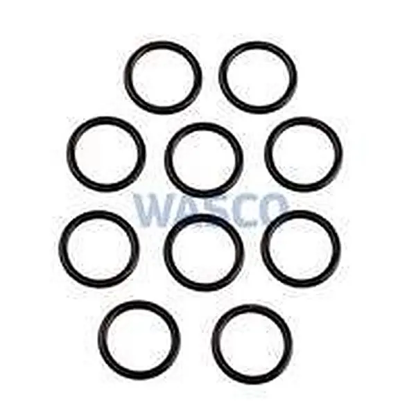 Nefit O-Ring 10 Stück 22 x 2,5 mm
