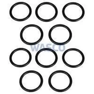 Vaillant O-ring (10 stuks) voor o.a. thermoCOMPACT VCW 254/4-7 981170