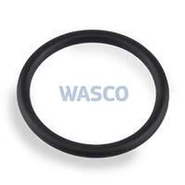 Intergas O-Ring Ø 19 x 2 mm