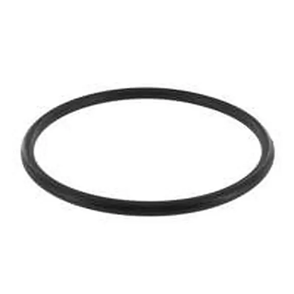 Intergas O-Ring Ø 68 x 4 mm Kondensatwanne für Kombi Kompakt HRE und HReco