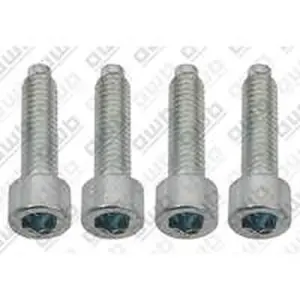 AWB schroef, pomp (x4) t.b.v. ThermoMaster (ThermoMaster C-XV 25) 0020207139