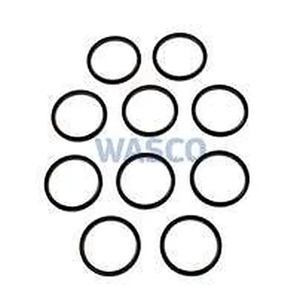 AWB Dichtring 1 (Set) 10 Stück