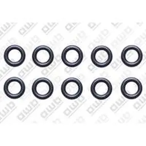 AWB O-ring 10 stuks voor ThermoGrand 65S 0020079610