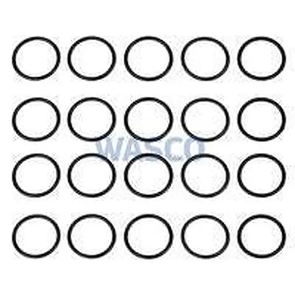 AWB O-Ring für u. a. ThermoMaster VR 24 T S5466500