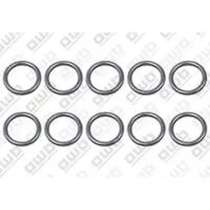 AWB o-ring 10 stuks voor o.a. ThermoMaster C-XV 35 0020018487