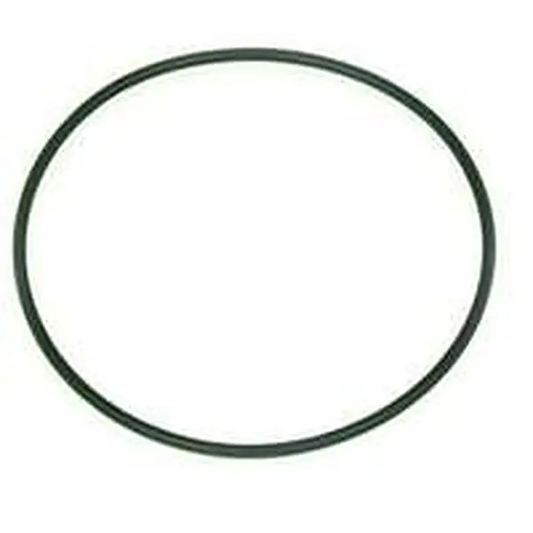 Riello Ring für u. a. 40 G3R 3007162
