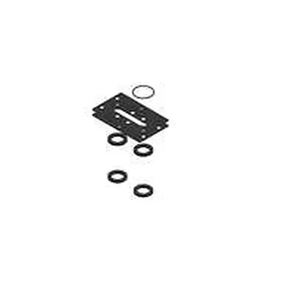 Eco Heating Dichtungsset Gasarmaturen 120 BIC