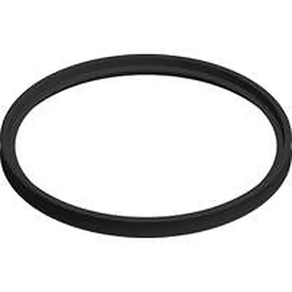 Eco Heating Lippendichtring EPDM 100 S016.100.011