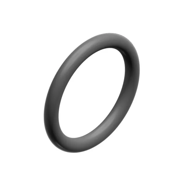 Bosch O-Ring 1712x262 (10x) 87167711620