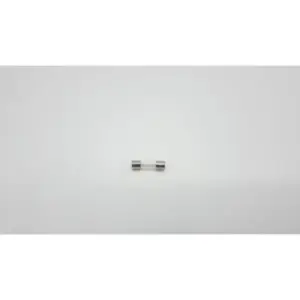 Remeha zekering 10a 250v voor Tzerra