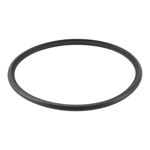 Remeha O-Ring konzentrisches Rohr D=80