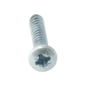 Remeha schroef 3,94 x 25 .