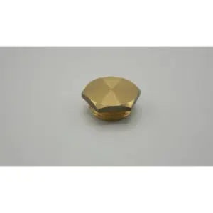 Remeha plug 3/4" voor o.a. Eria Tower Ace S 300000021