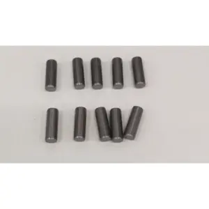 Remeha paspen 8 x 20 mm 10 stuks