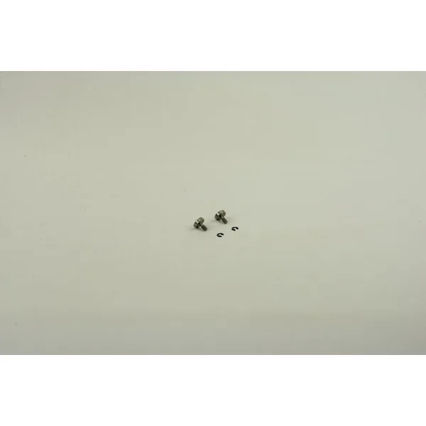 Bosch Schraube + Sicherungsring (2x)