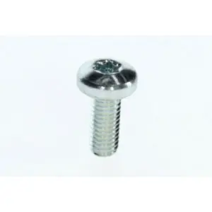 Nefit schroef M5 x 12 mm